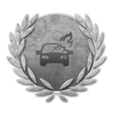<span class="achTooltipTitle">Experienced Transporter</span><br />
<span class="achTooltipDesc">Be a Transporter and make 50 deliveries.</span><br /> Achievement Experienced Transporter