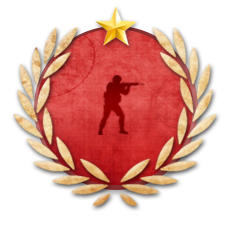 <span class="achTooltipTitle">Global Offensive</span><br />
<span class="achTooltipDesc">Highest killstreak in a Gun Game Arena.</span><br /> Achievement Global Offensive