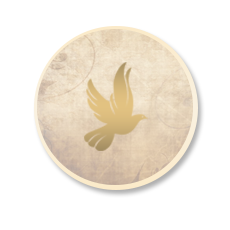 <span class="achTooltipTitle">Peaceful Faction Membership</span><br />
<span class="achTooltipDesc">Be a Peaceful faction member for 1 month. The time spent will be counted in all Peaceful factions.</span><br /> Achievement Peaceful Faction Membership