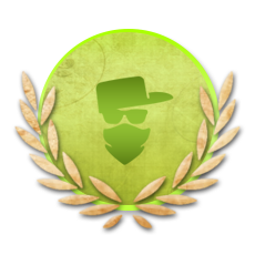 <span class="achTooltipTitle">Gang Experienced Member</span><br />
<span class="achTooltipDesc">Spend 6 months in Gangs. The time spent will be counted in all gangs.</span><br /> Achievement Gang Experienced Member