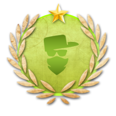 <span class="achTooltipTitle">Gang Veteran Member</span><br />
<span class="achTooltipDesc">Spend 24 months in Gangs. The time spent will be counted in all gangs.</span><br /> Achievement Gang Veteran Member